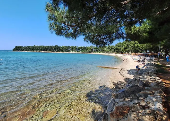 Sandra Novigrad Istria